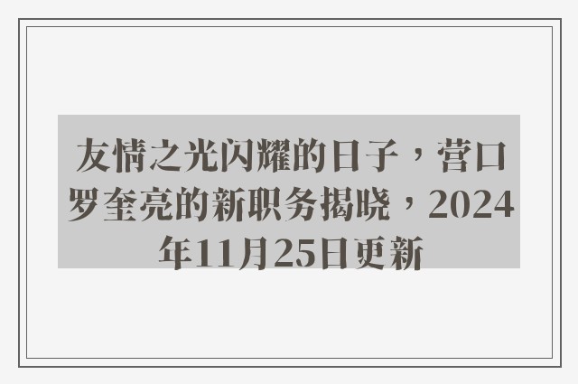 友情之光闪耀的日子，营口罗奎亮的新职务揭晓，2024年11月25日更新